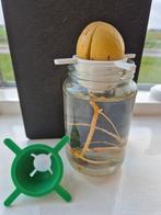 avocado pithouder, Ophalen of Verzenden, Nieuw