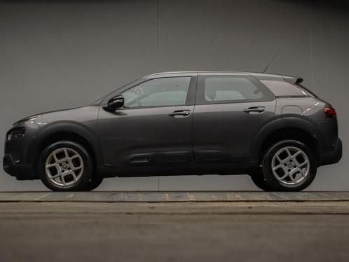 Citroen C4 Cactus 1.2 PureTech Feel Sport (APPLE CARPLAY,CRU, Auto's, Citroën, Bedrijf, Te koop, C4 Cactus, ABS, Airbags, Airconditioning