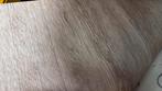 ‼️coupon superwood vinyl 7,60x4m restpartij vloerbedekking‼️, Ophalen of Verzenden, Nieuw, Minder dan 10 m², Vinyl
