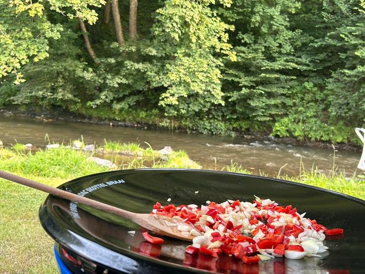 Skottel Braai - in zeer nette staat!, Tuin en Terras, Elektrische barbecues, Zo goed als nieuw, Ophalen