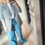 Grijze blazer Janice L jackje vestje jasje, Janice, Maat 42/44 (L), Ophalen of Verzenden, Zo goed als nieuw