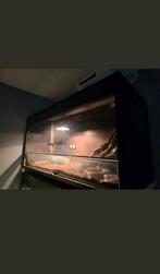 2 terrariums maat 120x50x50, Dieren en Toebehoren, Reptielen en Amfibieën | Toebehoren, Ophalen, Zo goed als nieuw, Terrarium of Paludarium