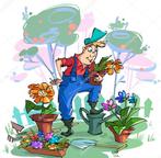 Tuinman voor al u tuin onderhoud, Ophalen of Verzenden
