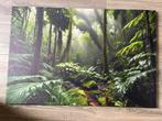 Groen jungle bos 60x90cm nieuw, Demuurdecoratie@gmail.com, Nieuw, Schilderij, 75 tot 100 cm