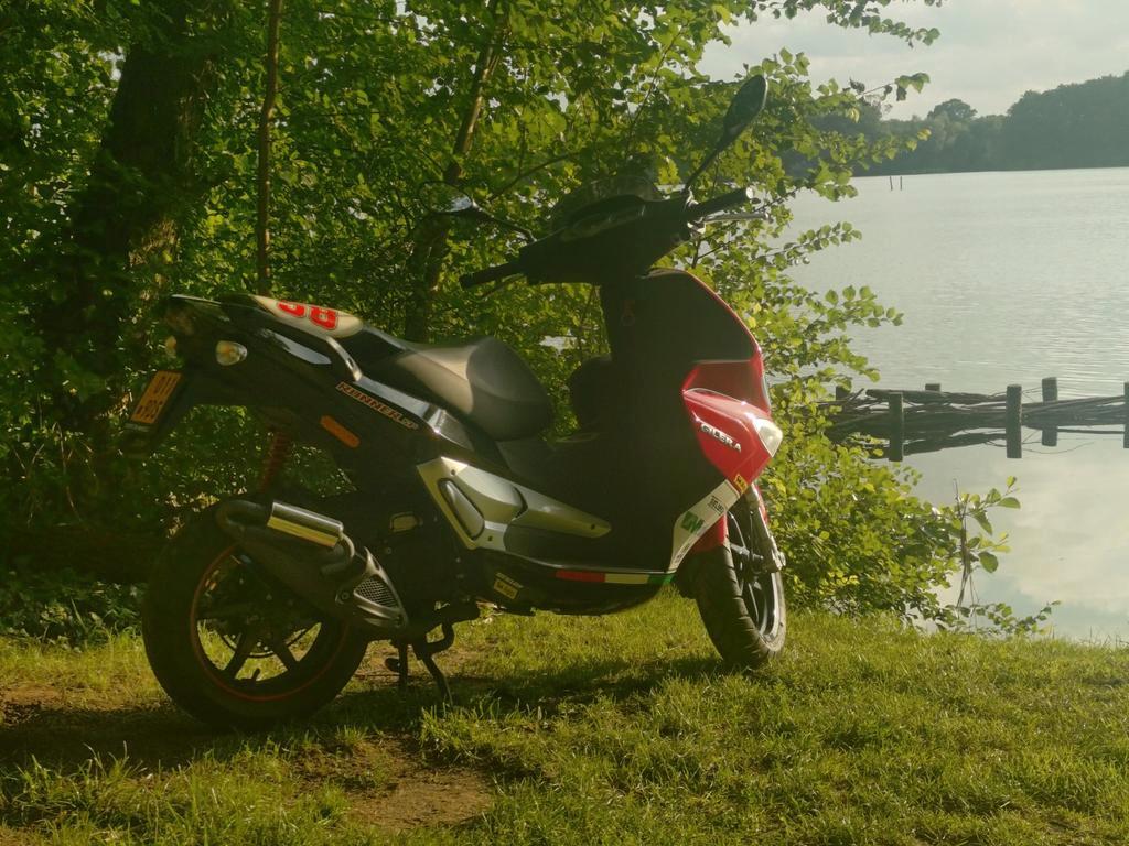 Simoncelli 2009 Gilera Runner Sp 2009 Régulateur GILERA RUNNER SP - Main Image