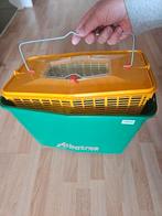 Levend aas emmer albatros, Watersport en Boten, Hengelsport | Roofvissen, Ophalen, Overige typen