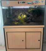 aquarium, Dieren en Toebehoren, Vissen | Aquaria en Toebehoren, Ophalen, Zo goed als nieuw, Gevuld zoetwateraquarium