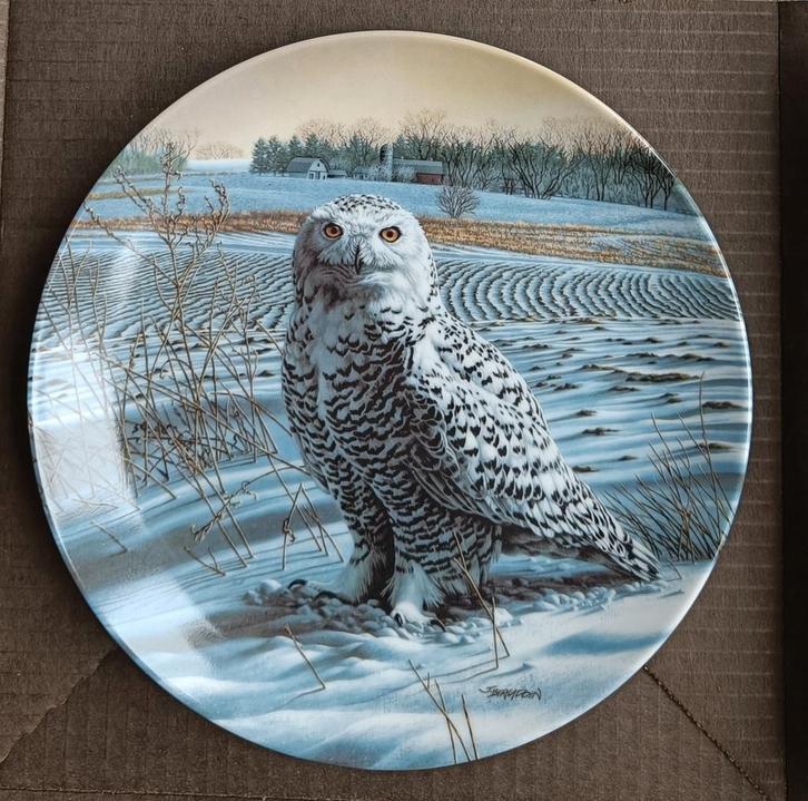 Wandbord /sierbord The Snowy Owl nieuwstaat + certificaat, Antiek en Kunst, Antiek | Wandborden en Tegels, Ophalen of Verzenden