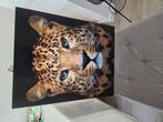 Panter schilderij, Antiek en Kunst, Ophalen