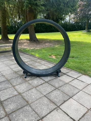 Loopwiel katten beschikbaar voor biedingen