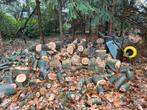 Te koop: pas gerooid eiken brandhout, Minder dan 3 m³, Ophalen