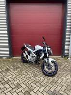 Suzuki Gladius SFV SV 650 Topstaat, Motoren, Motoren | Suzuki, 2 cilinders, Bedrijf, Meer dan 35 kW, Toermotor