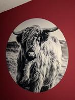 Wandcirkel schotse hooglander 90cm, Huis en Inrichting, Woonaccessoires | Schilderijen, Tekeningen en Foto's, Ophalen, 75 tot 100 cm