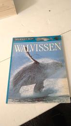 Walvissen boeken over zeedieren Ooggetuigen, Boeken, Dieren en Huisdieren, Ophalen of Verzenden, Zo goed als nieuw