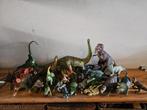 Hele partij exclusieve dinos in verschillende afmetingen, Ophalen of Verzenden, Zo goed als nieuw