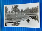 Ansichtkaart Bergen, Verzamelen, Ansichtkaarten | Nederland, Ophalen of Verzenden, Noord-Holland