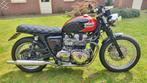 Triumph Bonneville T100 -08, Particulier, 2 cilinders, 865 cc