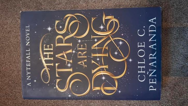 Super leuk romantasy boek, Boeken, Fantasy, Zo goed als nieuw, Ophalen of Verzenden