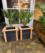DOUGLAS BLOEMBAK COMPLEET MET VULCANO, Verzenden, Nieuw, Hout, Minder dan 60 cm