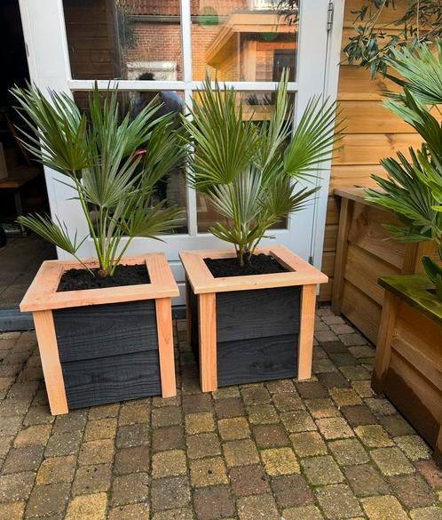 DOUGLAS BLOEMBAK COMPLEET MET VULCANO, Tuin en Terras, Bloembakken en Plantenbakken, Nieuw, Hout, Minder dan 60 cm, Verzenden