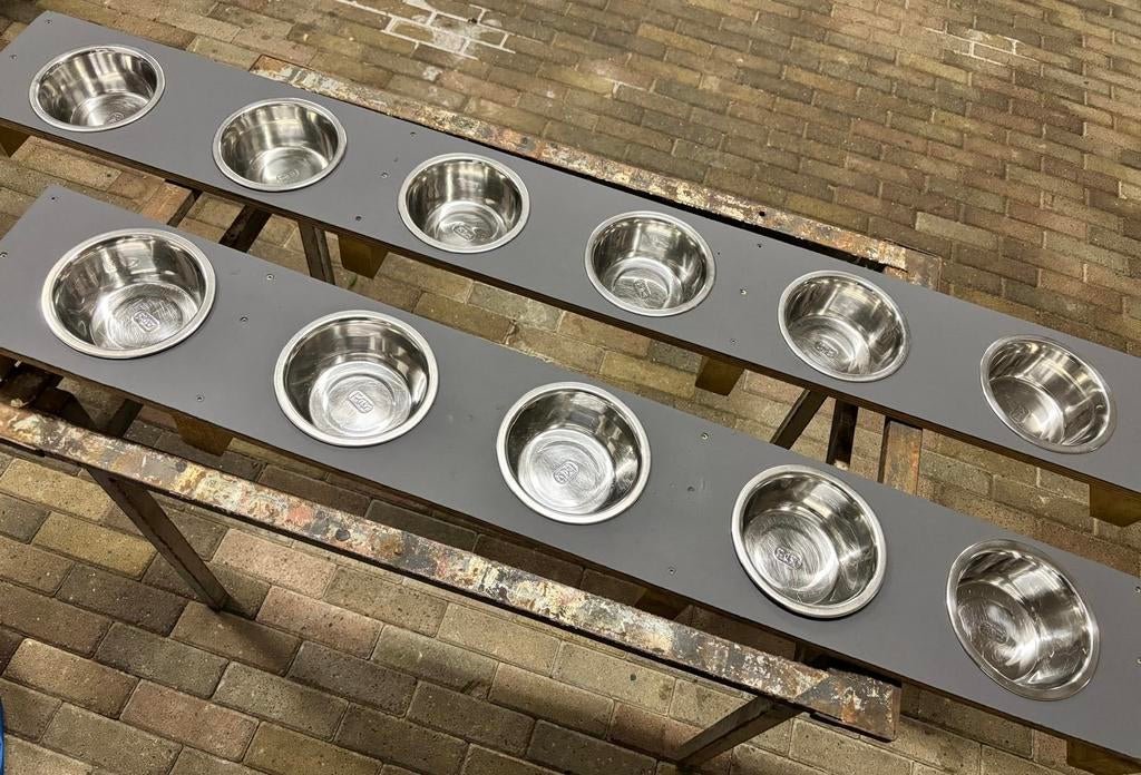 Plank met bakjes voor het voeren van 11 pups, Ophalen, Zo goed als nieuw