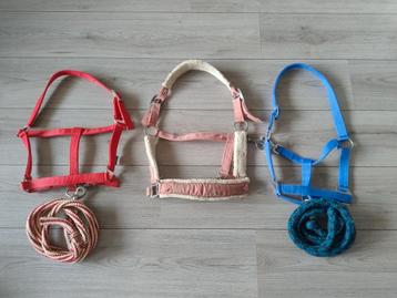 Halsters pony  beschikbaar voor biedingen