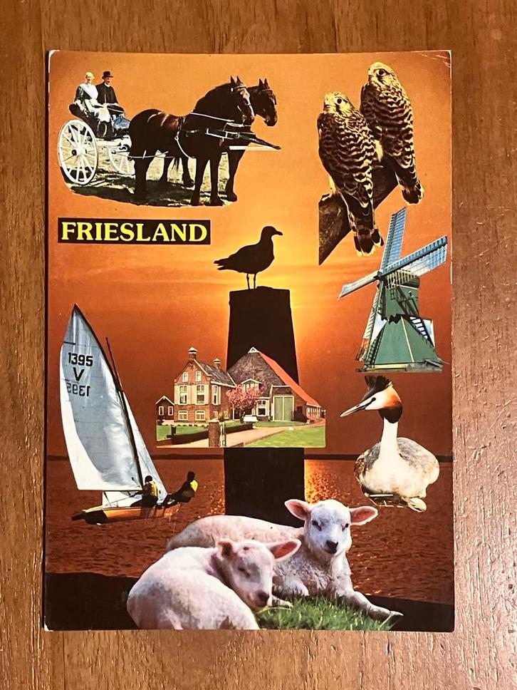 Friesland - 1982, Verzamelen, Ansichtkaarten | Nederland, Gelopen, Friesland, 1980 tot heden, Ophalen of Verzenden