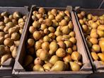 Betuws fruit te koop: appels en peren, Diversen, Levensmiddelen, Ophalen