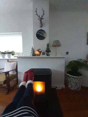 Duroflame pelletkachel Rembrand T2, energielabel A+ beschikbaar voor biedingen