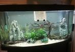 juwel 260L, Ophalen, Leeg aquarium