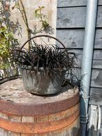 Oude kookpot gevuld met zwart gras / slangenbaard, Antiek en Kunst, Ophalen of Verzenden