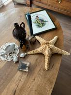 Kastopruiming !! Zeester en kleine schilpad 🐢, Ophalen, Zo goed als nieuw