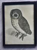 Prent Bosuil 2x, Ophalen of Verzenden