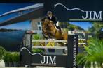 2 kaarten Jumping Indoor Maastricht - zondag 9 november, Tickets en Kaartjes, Twee personen, November