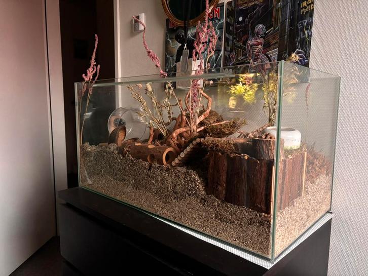 Hamsterverblijf 80x40x40, Dieren en Toebehoren, Knaagdieren en Konijnen | Hokken en Kooien, Zo goed als nieuw, Kooi, Minder dan 60 cm