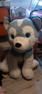 Reuze Hond Knuffel - 70cm, Kinderen en Baby's, Speelgoed | Knuffels en Pluche, Ophalen of Verzenden, Zo goed als nieuw, Hond