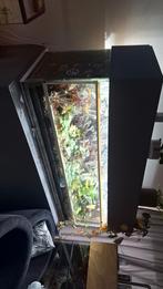 Compleet terrarium 200x60x60cm, Ophalen of Verzenden, Terrarium of Paludarium, Zo goed als nieuw