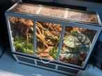 Ingericht insecten terrarium, Dieren en Toebehoren, Ophalen, Zo goed als nieuw, Terrarium of Paludarium