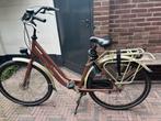Cortina Roots moederfiets met 7 versnellingen, Fietsen en Brommers, Versnellingen, Ophalen, Overige merken, 53 tot 56 cm