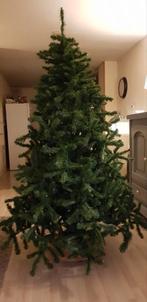 kunstboom, Ophalen of Verzenden, Gebruikt