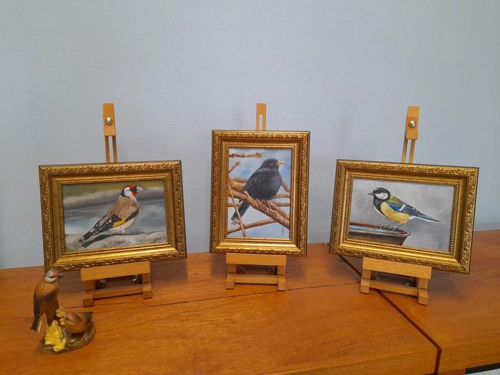 Schilderij merel koolmees puttertje - origineel cadeau vogel, Antiek en Kunst, Kunst | Schilderijen | Modern, Ophalen of Verzenden