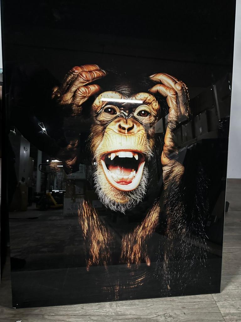 Glasschilderij 60x90cm monkey, Ophalen of Verzenden