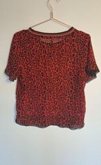 Rood shirt met sterren- en panterprint Scotch & Soda maat M, Kleding | Dames, T-shirts, Maat 38/40 (M), Scotch & Soda, Ophalen of Verzenden