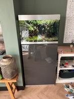 Oase Highline 175 met onderkast zo goed als nieuw, Dieren en Toebehoren, Vissen | Aquaria en Toebehoren, Ophalen, Zo goed als nieuw