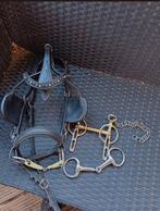 Menhoofdstel shet/welsh., Dieren en Toebehoren, Paarden en Pony's | Hoofdstellen en Tuigage, Ophalen of Verzenden, Gebruikt, Overige soorten