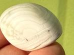Amethist met Chalcedoon edelsteen broekzaksteen trommelsteen, Verzamelen, Mineralen en Fossielen, Ophalen of Verzenden, Mineraal