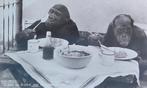 Rotterdam-Blijdorp- Kobus en Sofie aan tafel-Chimpansee's, Verzenden, 1940 tot 1960, Gelopen, Zuid-Holland