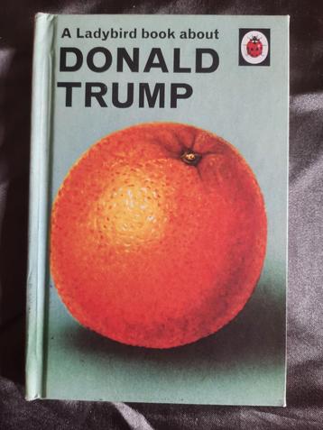 Jason Hazeley - A Ladybird Book About Donald Trump beschikbaar voor biedingen