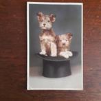 kaart, Verzenden, 1920 tot 1940, Gelopen, Limburg