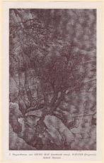 Sji, Kwo - Het Chineesche landschap (genummerd 1936)  , Ophalen of Verzenden
